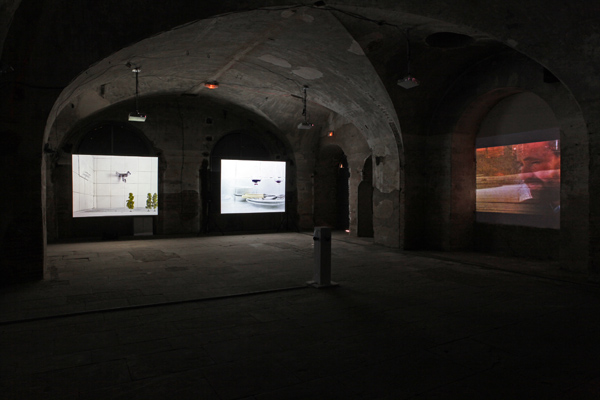 Exhibition view 2 cm de plus / 2 cm merh, Centre d'Art le LAIT, La Chute, La Montée des Eaux, Albi 2011